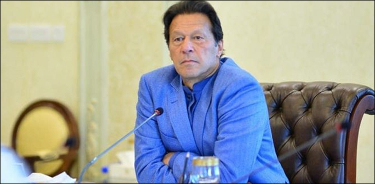 Mill owners extracts Rs126 to 140 billion from the pockets of people: PM Imran Khan