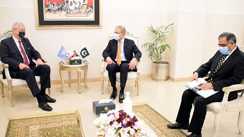 FM emphasizes on permanent resolution of Palestine, Kashmir issue for peace in Middle East and South Asia