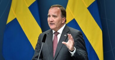 Swedish Prime Minister Stefan Lofven
