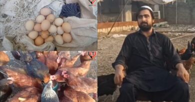 Poultry farming Sohaib Khattak