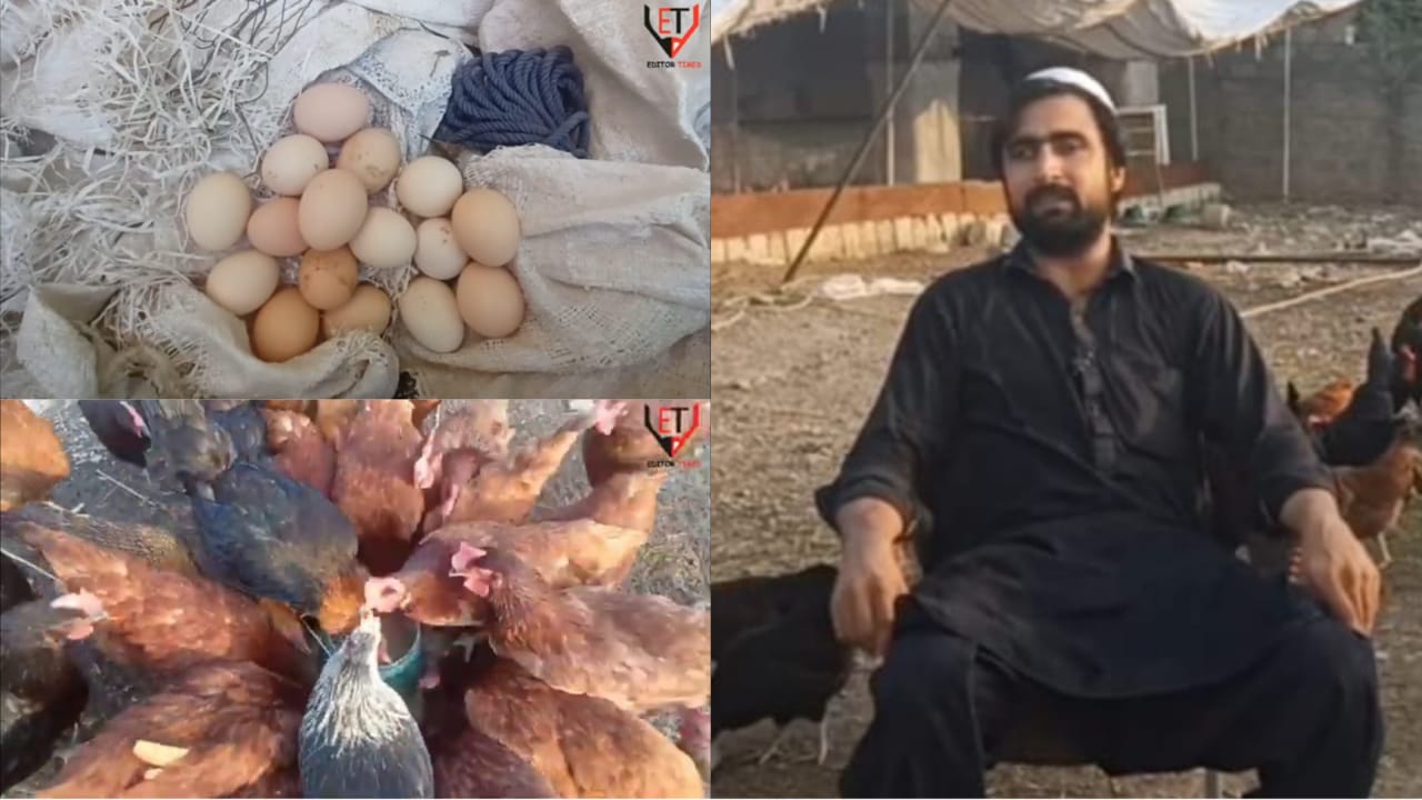 Civil engineer quit his job in Dubai and starts poultry farming