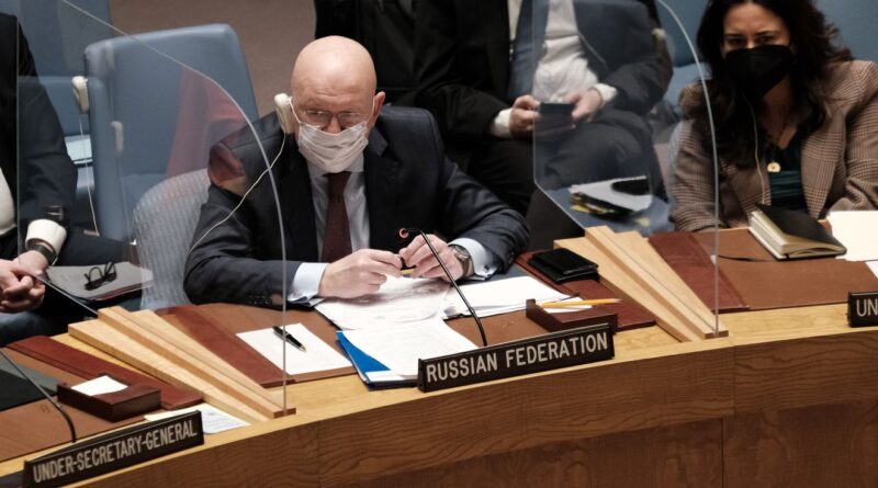 russia-ukraine-security-council