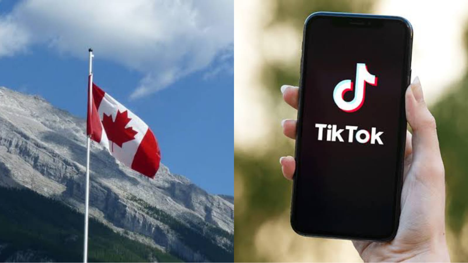 Canada bans TikTok application in country