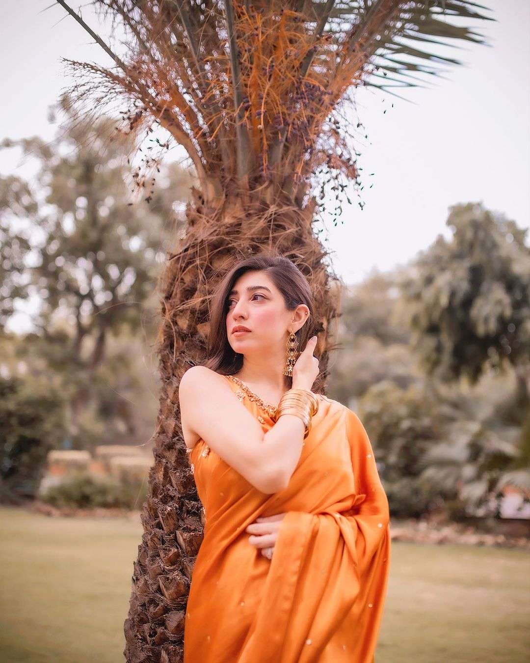 Mariyam Nafees News Mariyam Nafees Saree Pictures